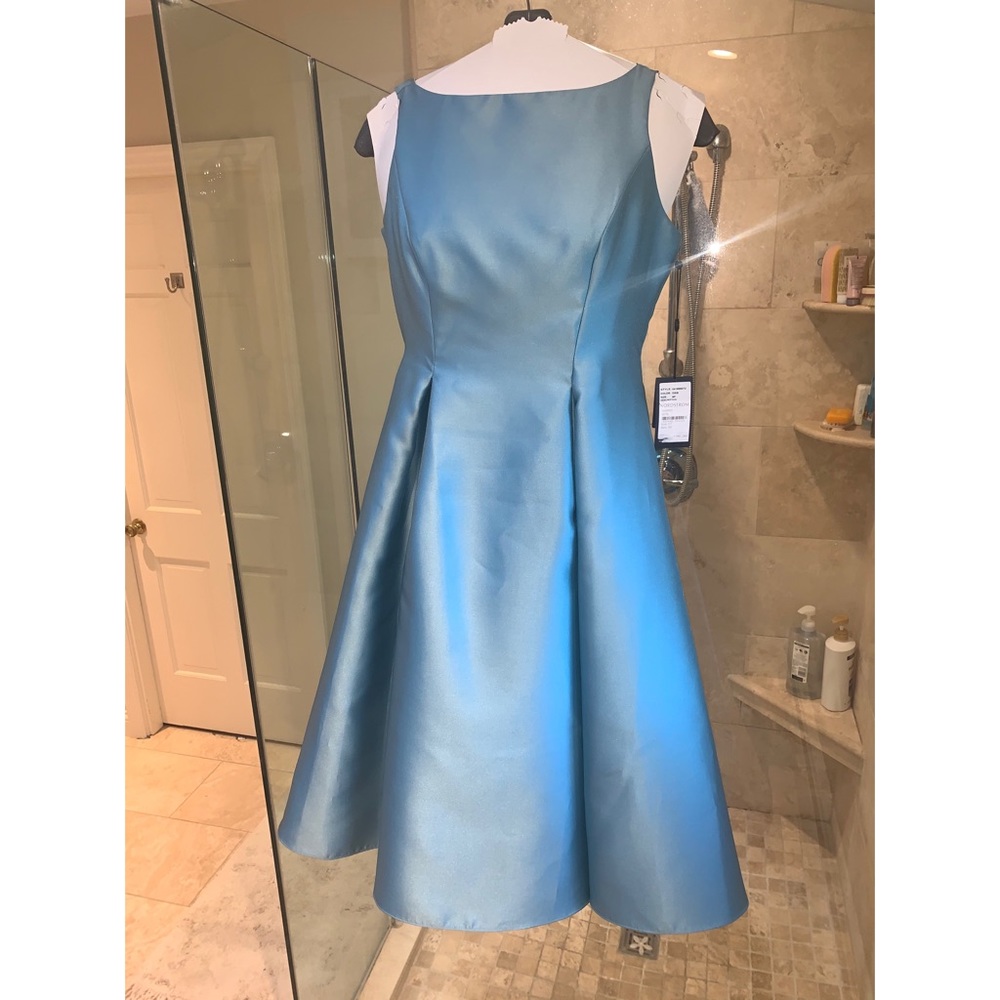 Adrianna Papell Black Tie Gown